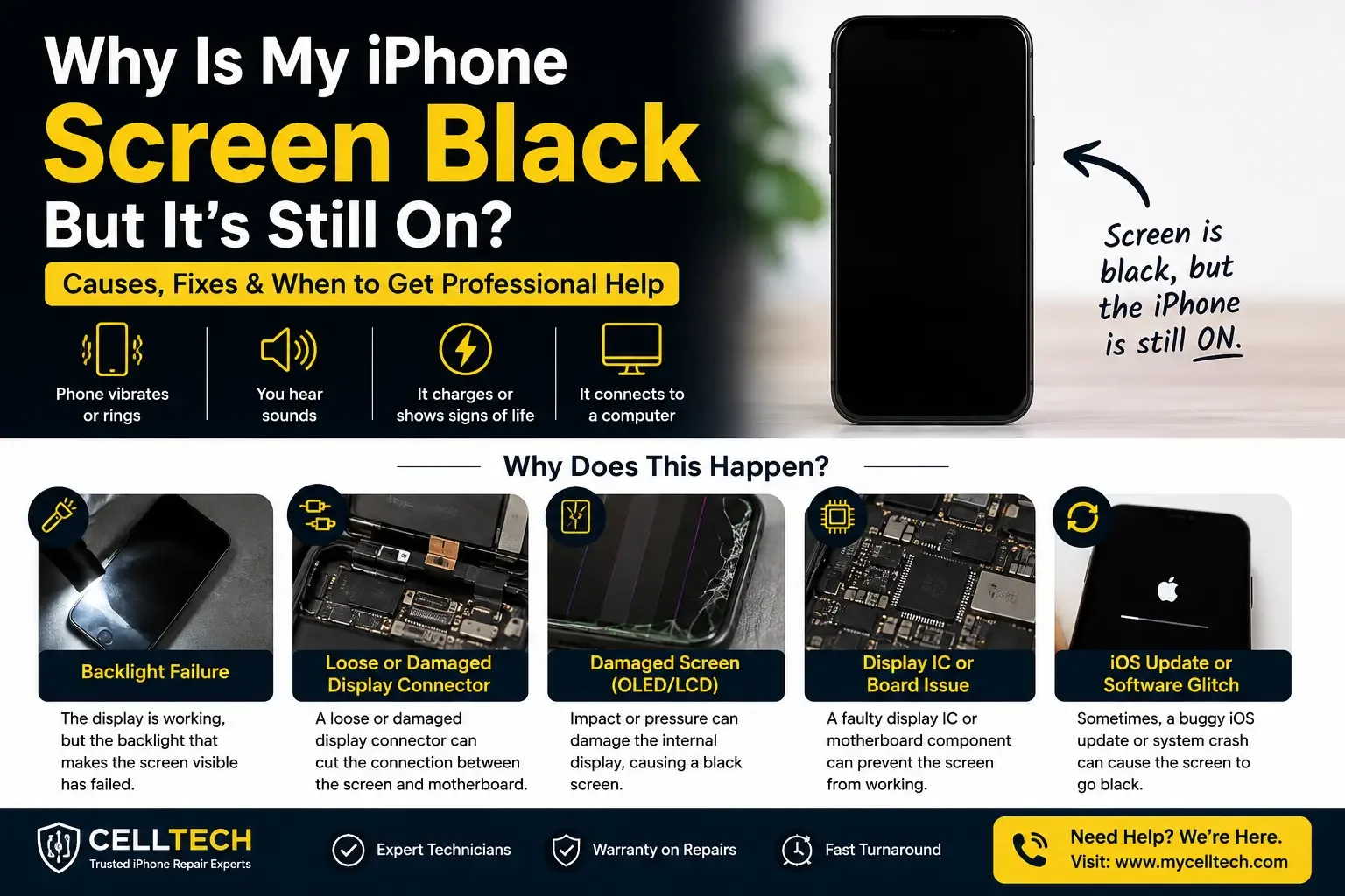 Why is my iPhone screen black but it is still on: causes, fixes and when to get professional help
