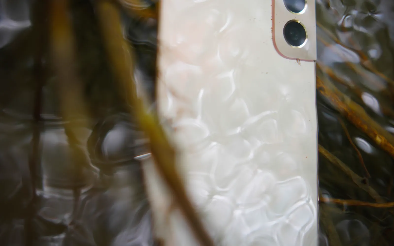 A smartphone partially submerged in water